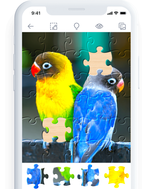 Jigsaw Puzzles